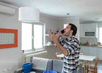 Comment se débarrasser des larves de mites alimentaires au plafond ?