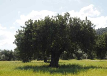 Créez un décor adapté