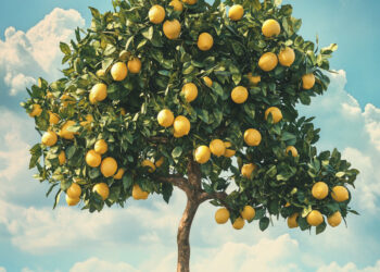 Taille du citronnier : quand et comment la réaliser pour une meilleure récolte !