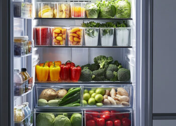 Température idéale dans un congélateur : comment bien régler pour une conservation optimale de vos aliments ?