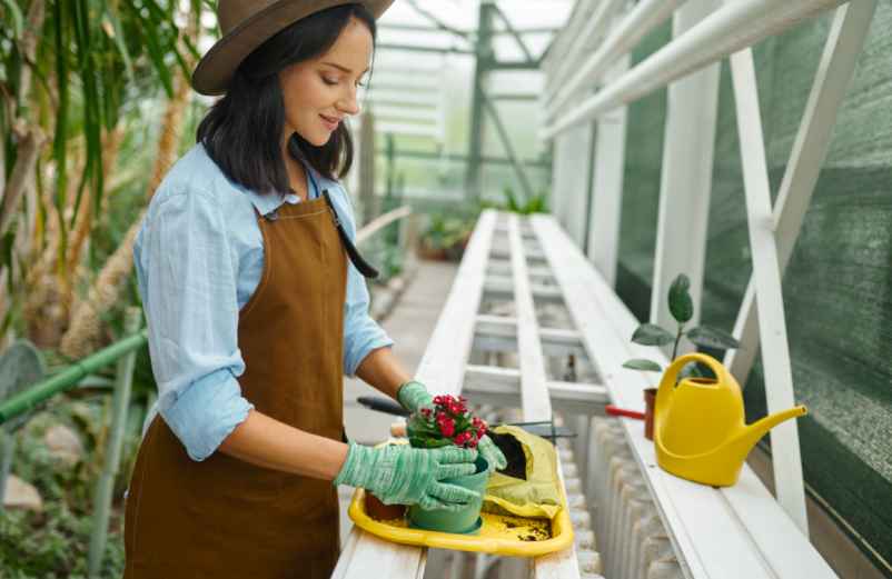 Fabriquer une serre de jardin