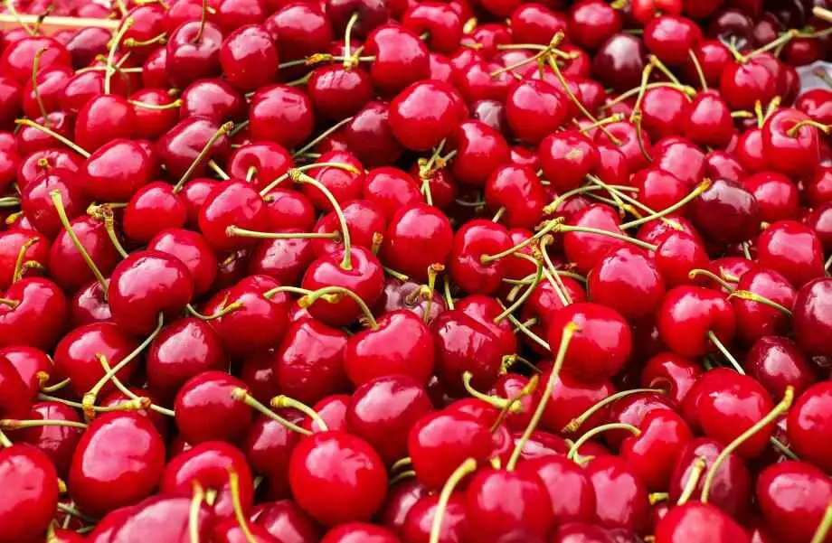 Quelques conseils pour réussir la culture de tomates cerises
